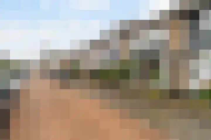 Beekvloed 20 Volkel thumbnail 31