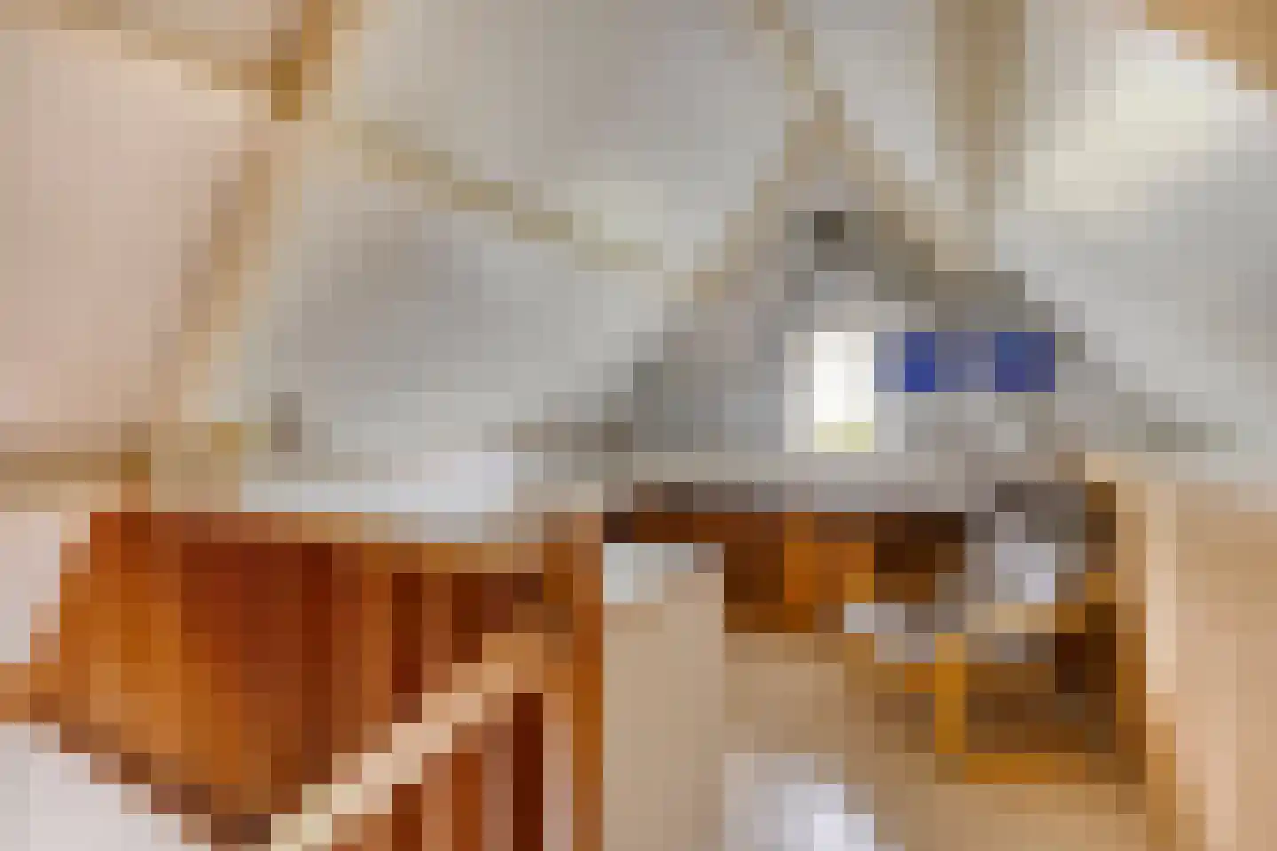 Beekvloed 20 Volkel thumbnail 35
