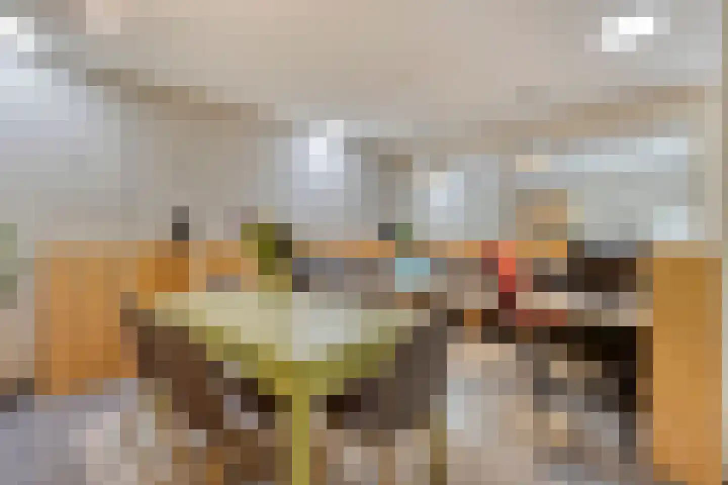 Beekvloed 20 Volkel thumbnail 40