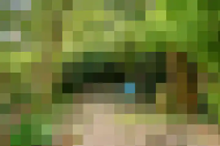 Beekvloed 20 Volkel thumbnail 43