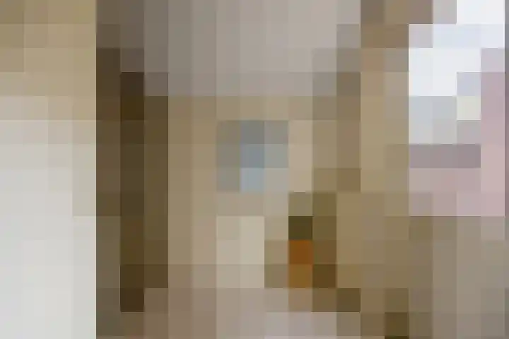 Beekvloed 20 Volkel thumbnail 48