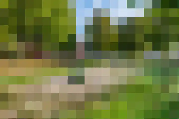 Beekvloed 20 Volkel thumbnail 49