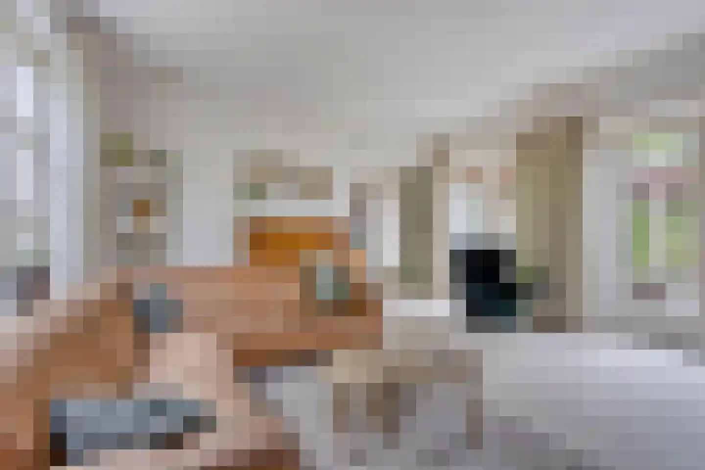 Beekvloed 20 Volkel thumbnail 5