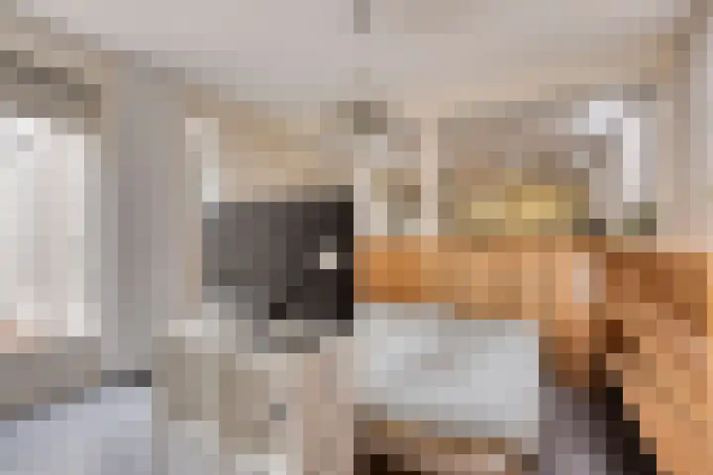 Beekvloed 20 Volkel thumbnail 51