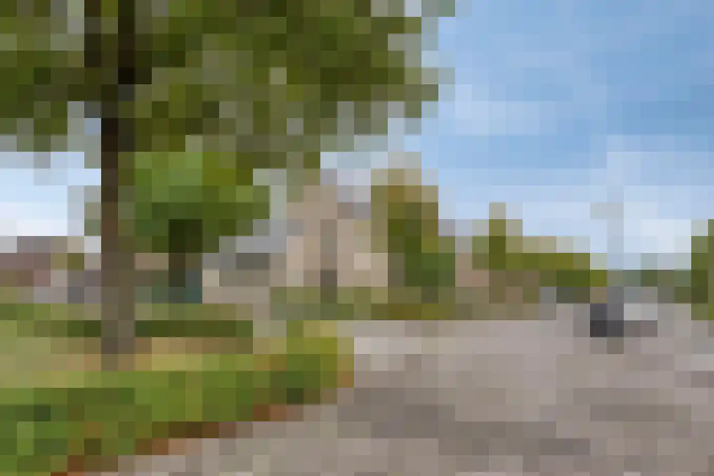 Beekvloed 20 Volkel thumbnail 72