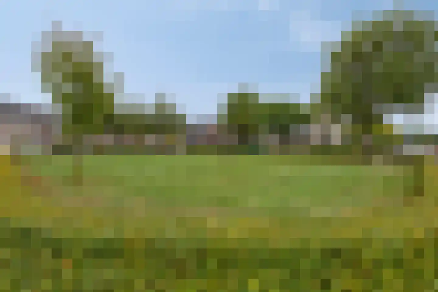 Beekvloed 20 Volkel thumbnail 75