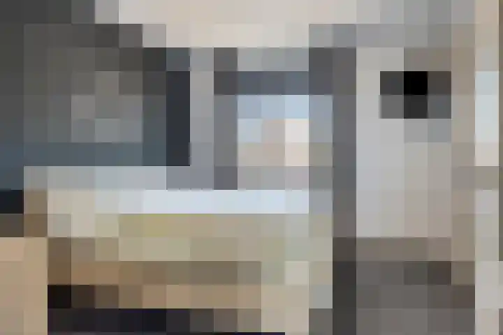Beekvloed 5 Volkel thumbnail 21