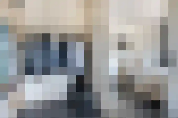 Beekvloed 5 Volkel thumbnail 25