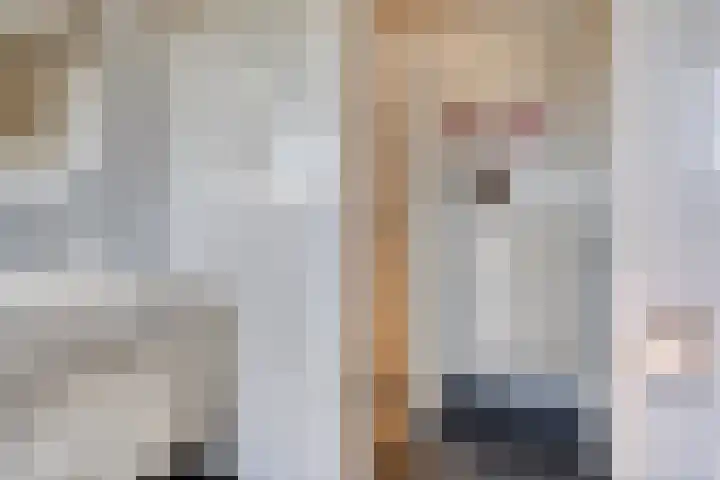 Beekvloed 5 Volkel thumbnail 28