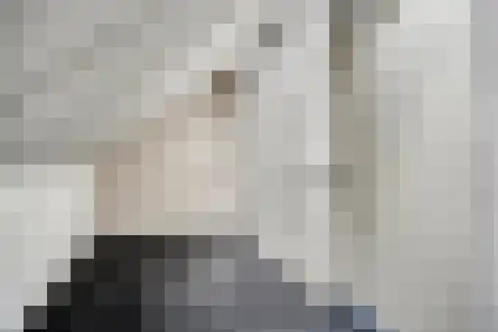 Beekvloed 5 Volkel thumbnail 35