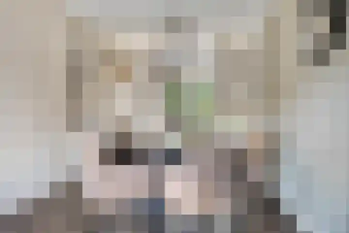 Beekvloed 5 Volkel thumbnail 6