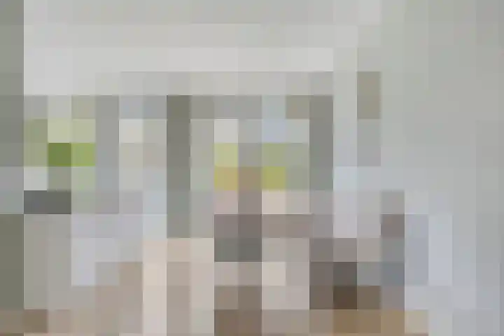 Beekvoorde 13 Borne thumbnail 12