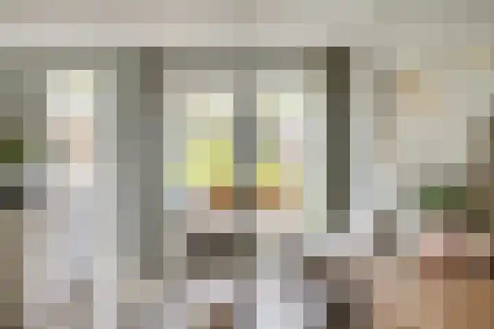 Beekvoorde 13 Borne thumbnail 13