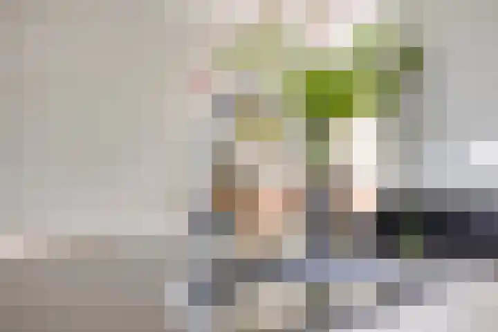 Beekvoorde 13 Borne thumbnail 16