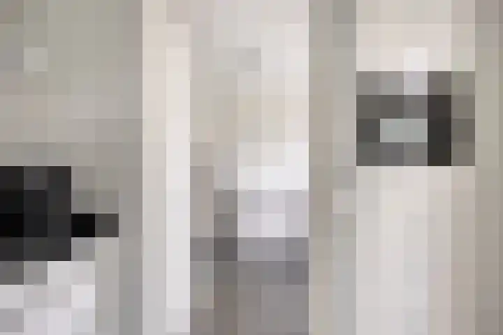 Beekvoorde 13 Borne thumbnail 17