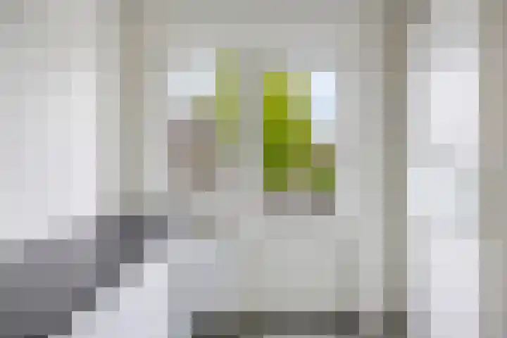 Beekvoorde 13 Borne thumbnail 18