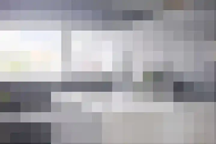 Beekvoorde 13 Borne thumbnail 24