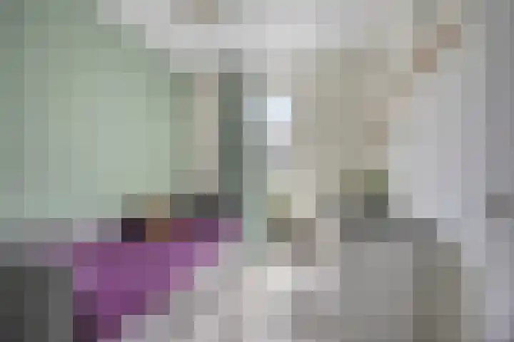 Beekvoorde 13 Borne thumbnail 29