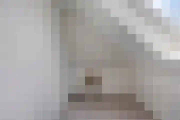 Beekvoorde 13 Borne thumbnail 33