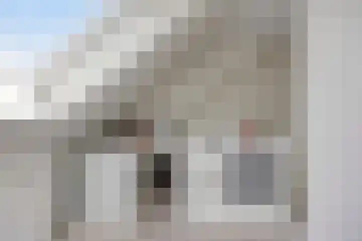 Beekvoorde 13 Borne thumbnail 34