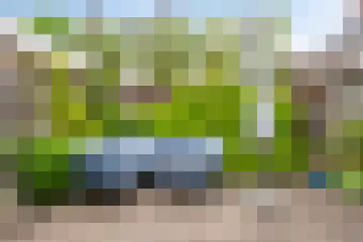 Beekvoorde 13 Borne thumbnail 37