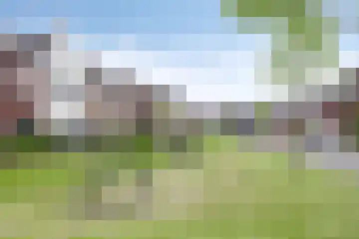 Beekvoorde 13 Borne thumbnail 41