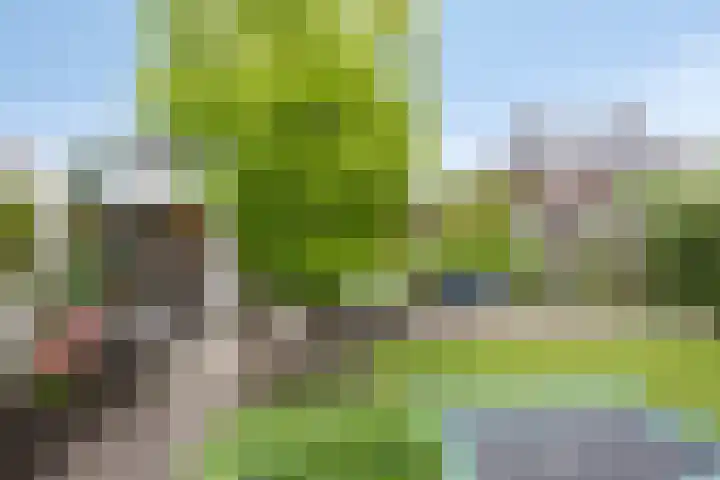 Beekvoorde 13 Borne thumbnail 5