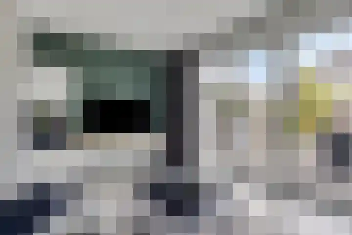 Beekvoorde 25 Borne thumbnail 10