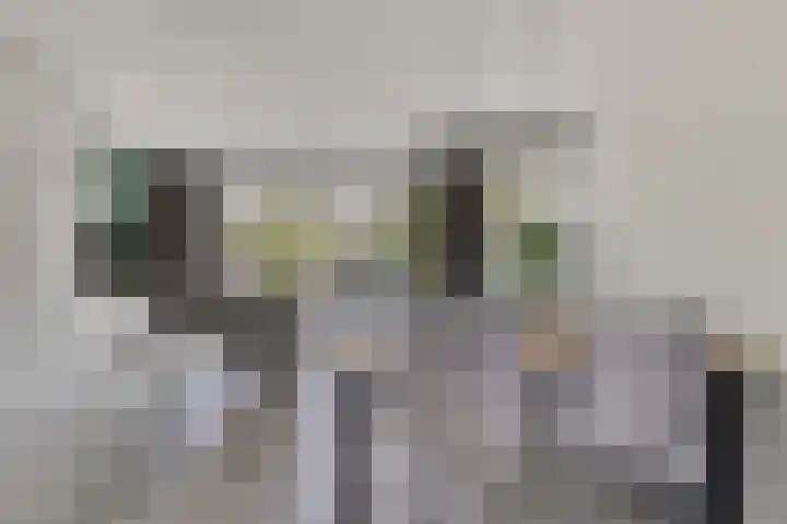 Beekvoorde 25 Borne thumbnail 12