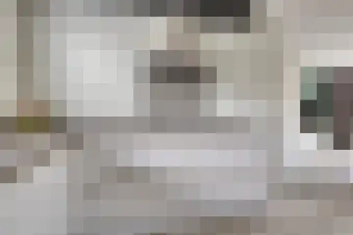Beekvoorde 25 Borne thumbnail 18