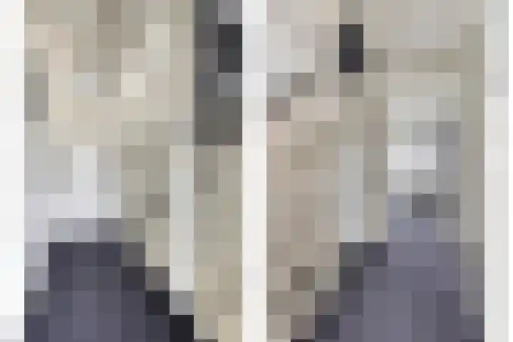 Beekvoorde 25 Borne thumbnail 20