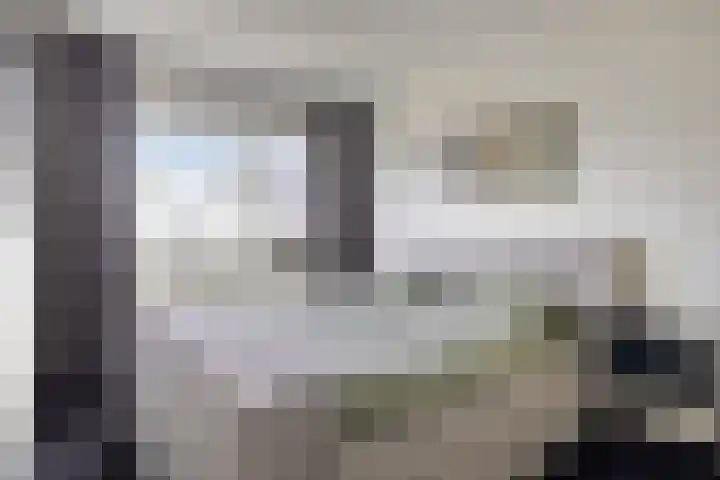 Beekvoorde 25 Borne thumbnail 21
