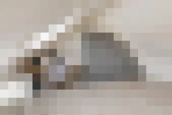 Beekvoorde 25 Borne thumbnail 29