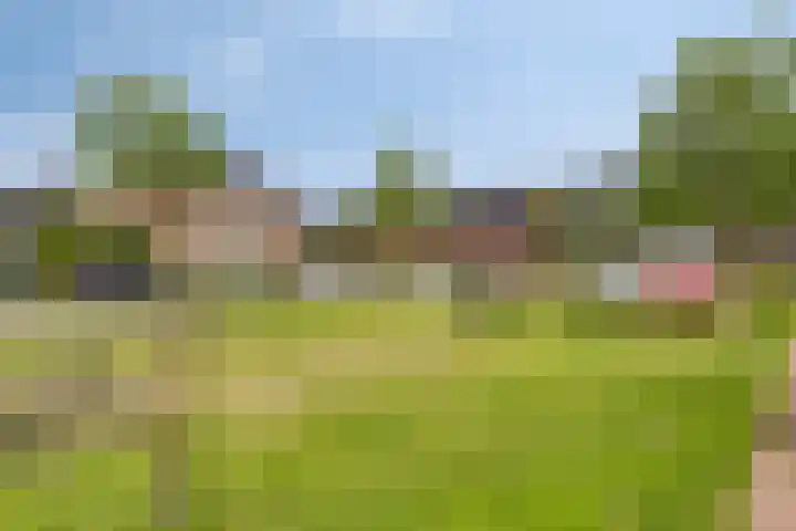 Beekvoorde 25 Borne thumbnail 37