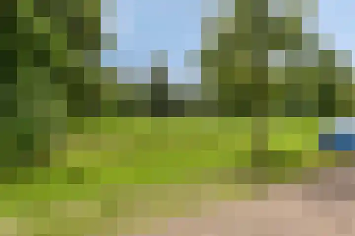 Beekvoorde 25 Borne thumbnail 39