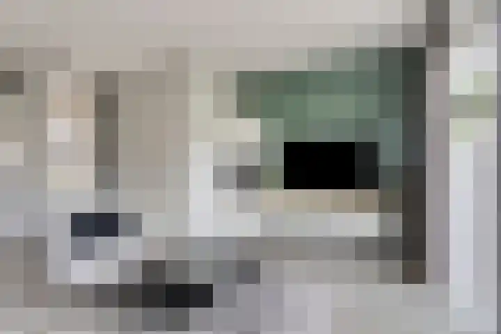 Beekvoorde 25 Borne thumbnail 4