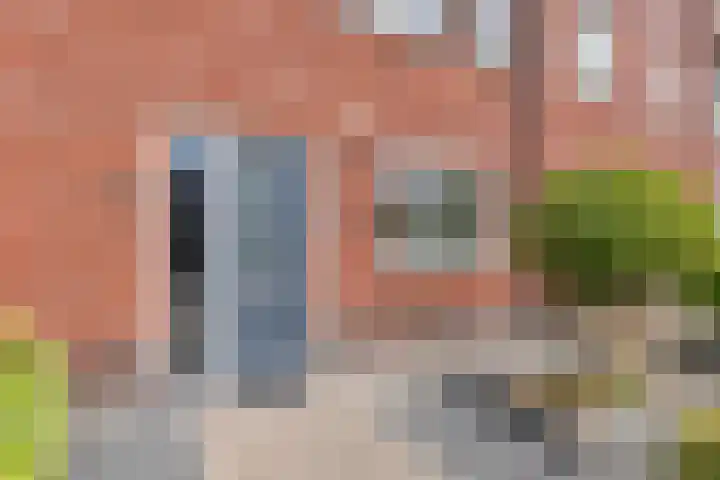 Beekvoorde 25 Borne thumbnail 8