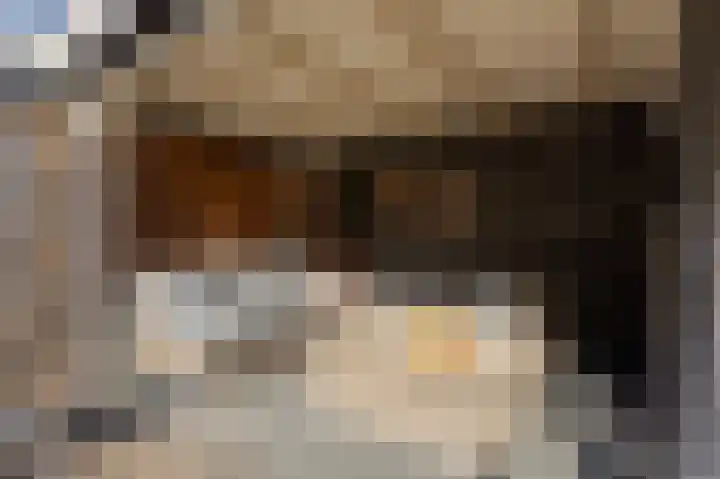 Beekvoorde 27 Borne thumbnail 11