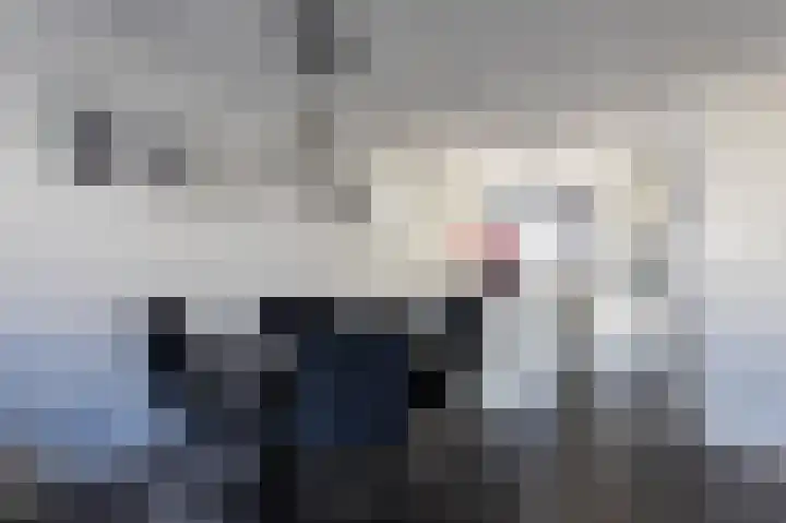 Beekvoorde 27 Borne thumbnail 16