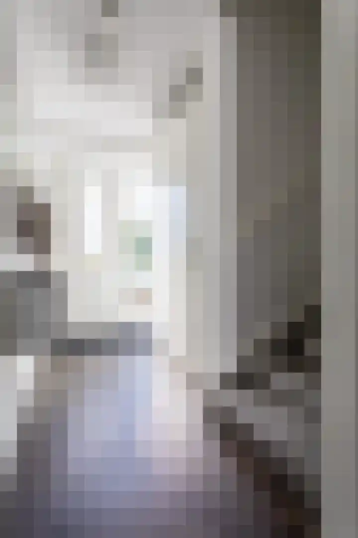 Beekvoorde 27 Borne thumbnail 21
