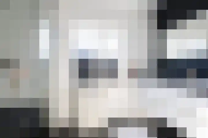 Beekvoorde 27 Borne thumbnail 27