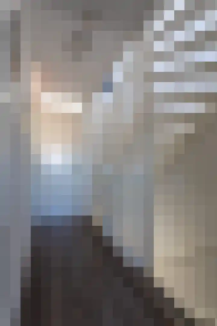 Beekvoorde 27 Borne thumbnail 31