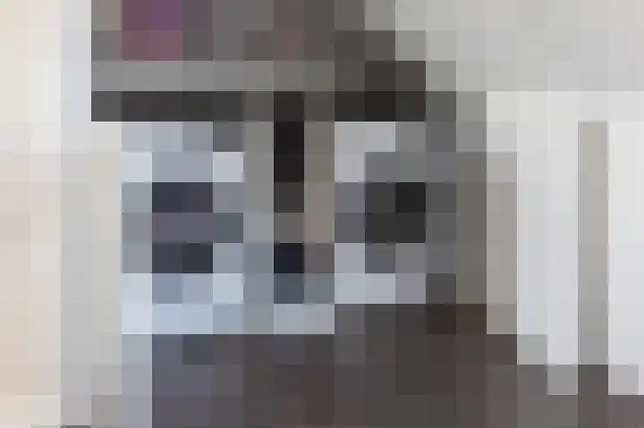 Beekvoorde 27 Borne thumbnail 33