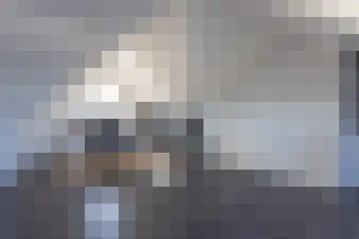 Beekvoorde 27 Borne thumbnail 34