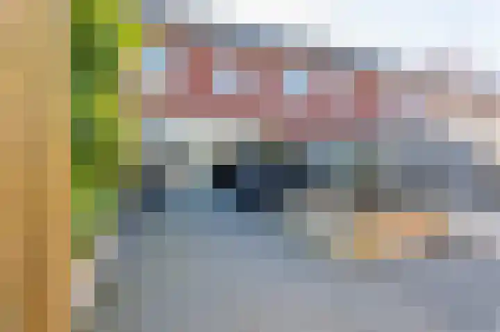 Beekvoorde 27 Borne thumbnail 37