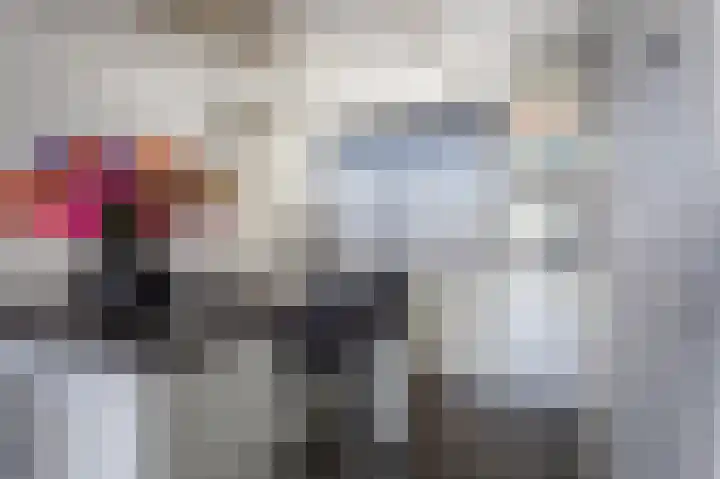 Beekvoorde 27 Borne thumbnail 4
