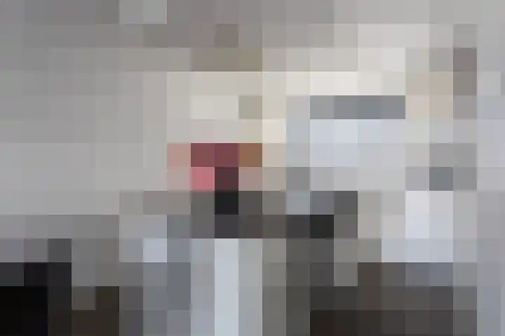 Beekvoorde 27 Borne thumbnail 8