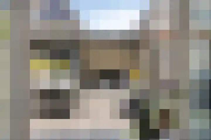 Beekvoorde 43 Borne thumbnail 11