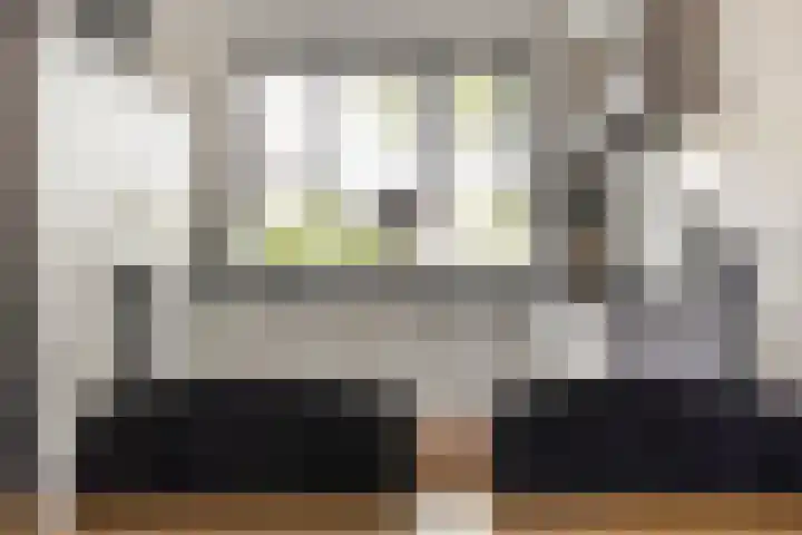 Beekvoorde 43 Borne thumbnail 13