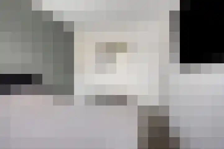 Beekvoorde 43 Borne thumbnail 17